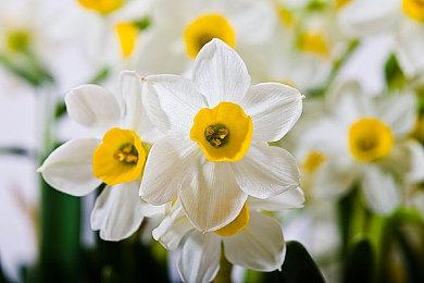 《泰拉瑞亚》总销量突破6000万 1.4.5版本开发中